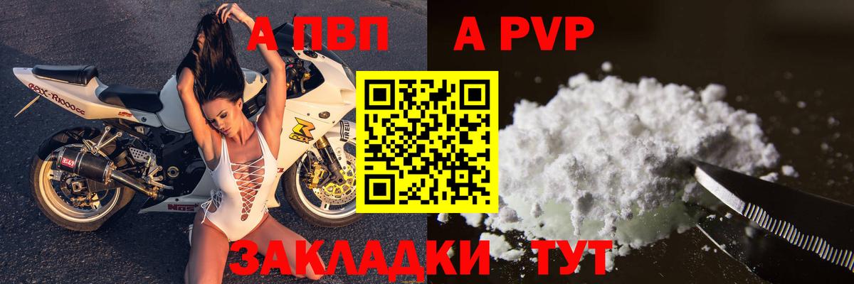 APVP СК Шадринск