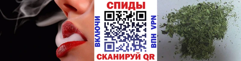 MEGA tor купить наркотик Шадринск Бутират BDO