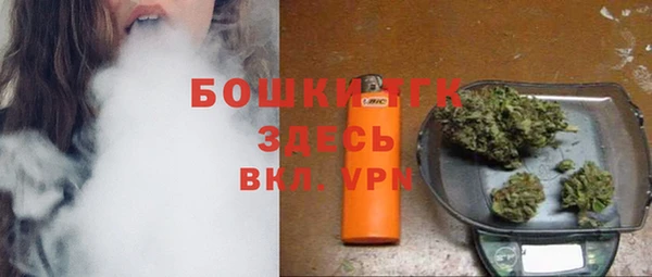 молекула духа Арсеньев