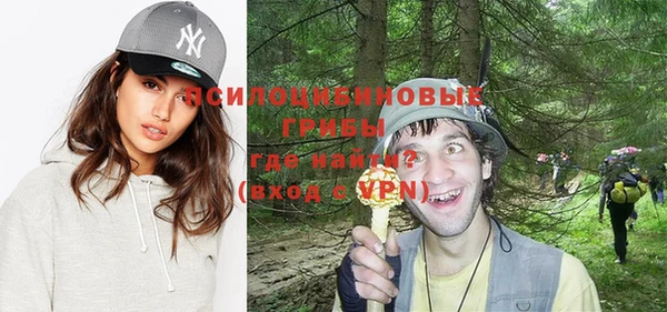 крисы Армянск