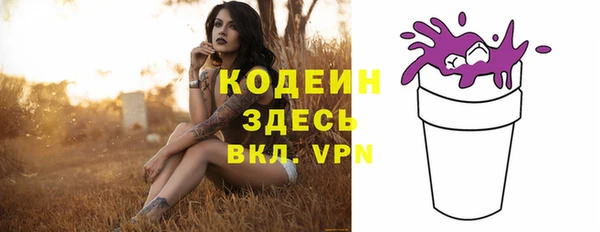 крисы Армянск