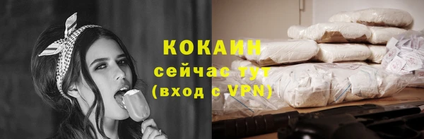 молекула духа Арсеньев