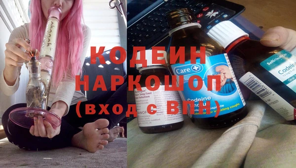 молекула духа Арсеньев