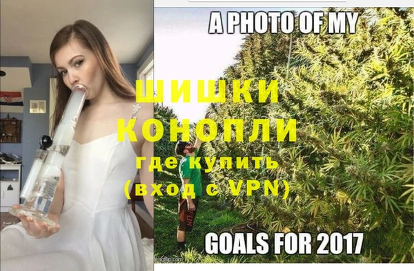 молекула духа Арсеньев