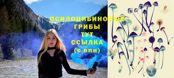 крисы Армянск