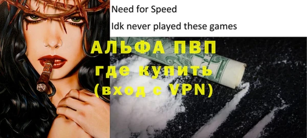 молекула духа Арсеньев