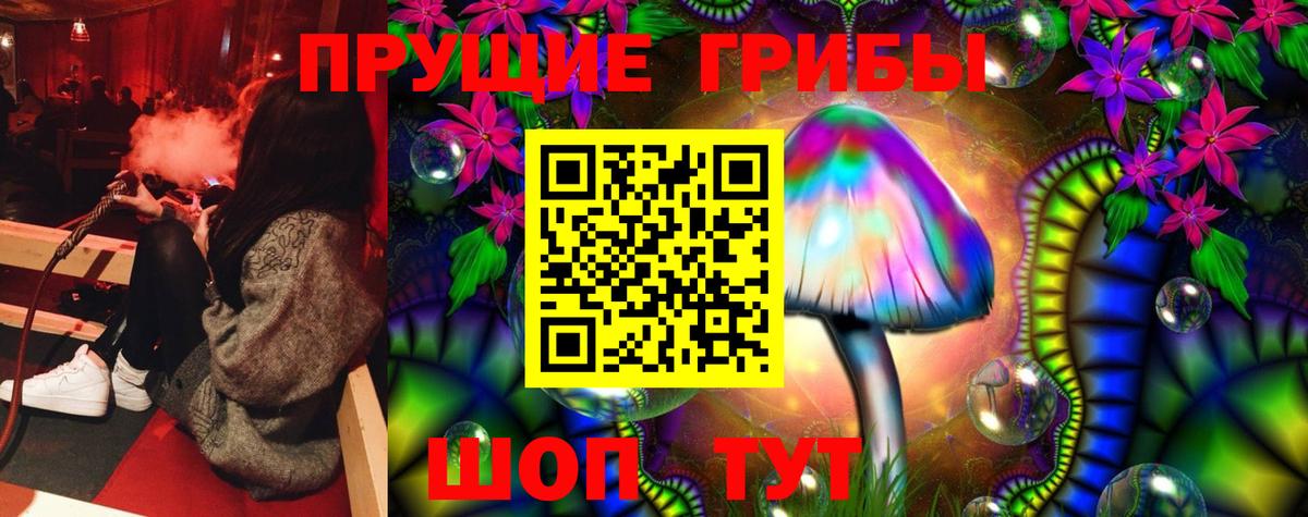 Псилоцибиновые грибы Psilocybine cubensis Шадринск